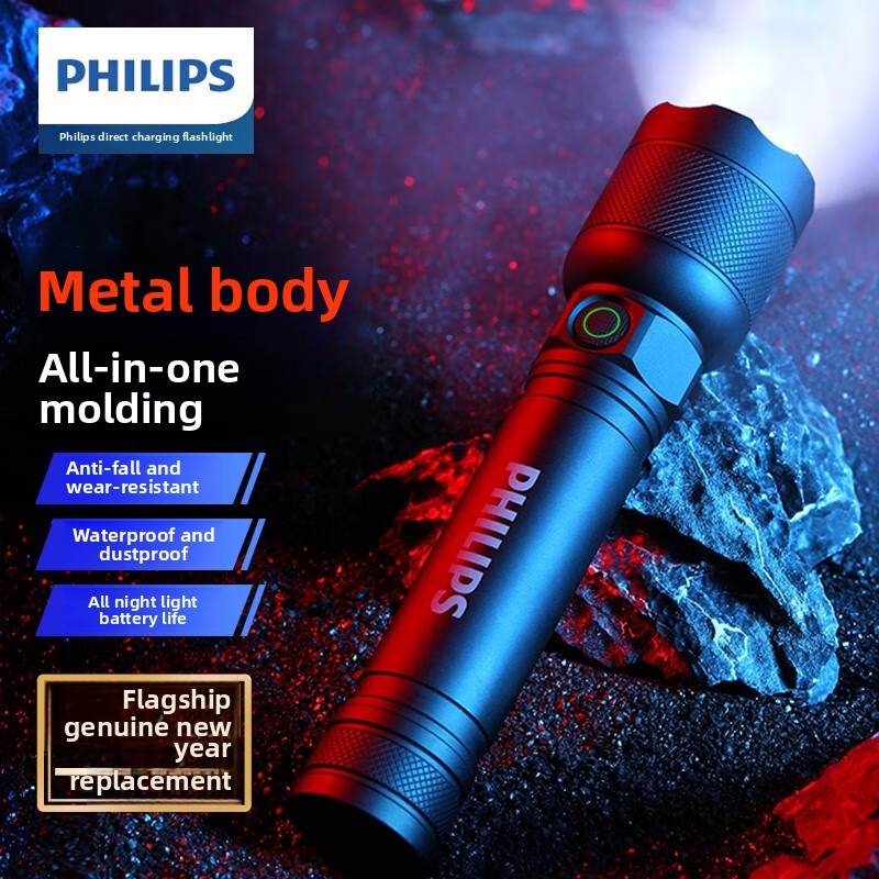 Outdoor Lighting House - 2025 NEW Philips SFL2188 LED Aluminum