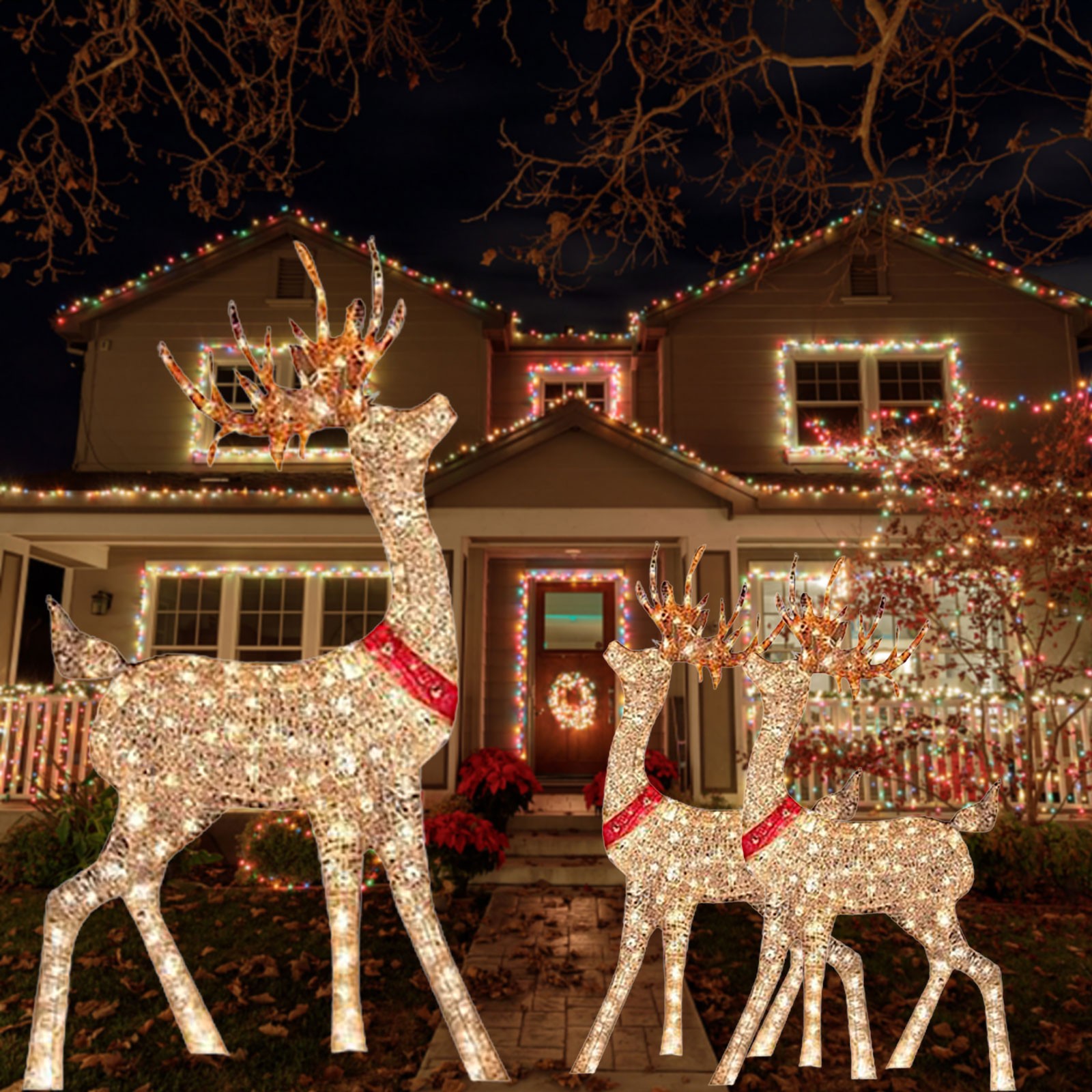 Lighted Christmas Decoration D - Outdoor Lighting Event 评论和价格