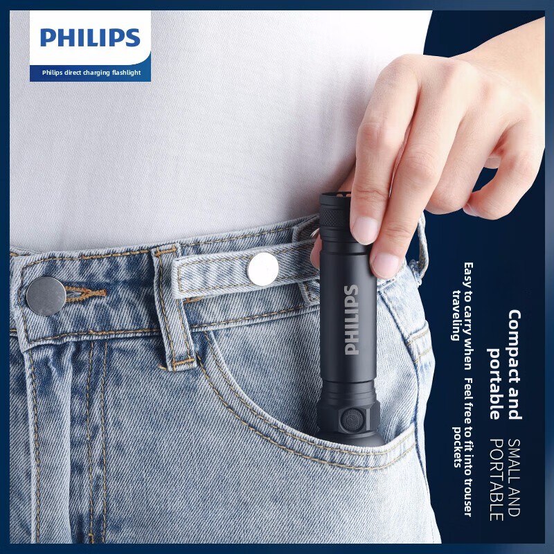 2025 NEW Philips SFL2188 LED A - Outdoor Lighting House 评论和价格