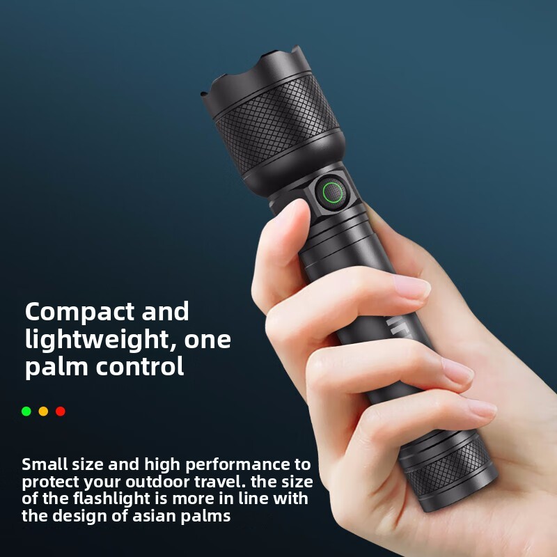 2025 NEW Philips SFL2188 LED A - Outdoor Lighting House 评论和价格