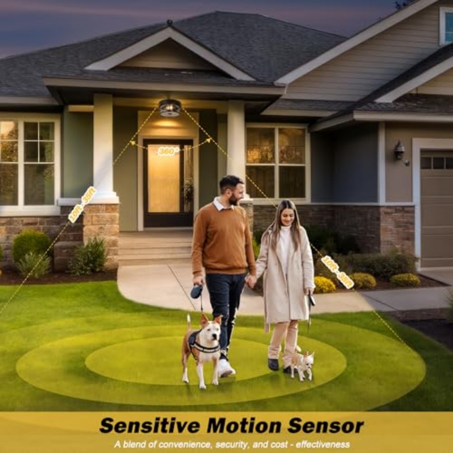 Motion Sensor Outdoor Ceiling  - Lighting Fixture Outdoor 评论和价格